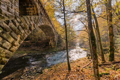 Gemeinde Obernzell Landkreis Passau Erlau Erlautal Granitbahnbrücke Herbst (Dirschl Johann) Deutschland PA
